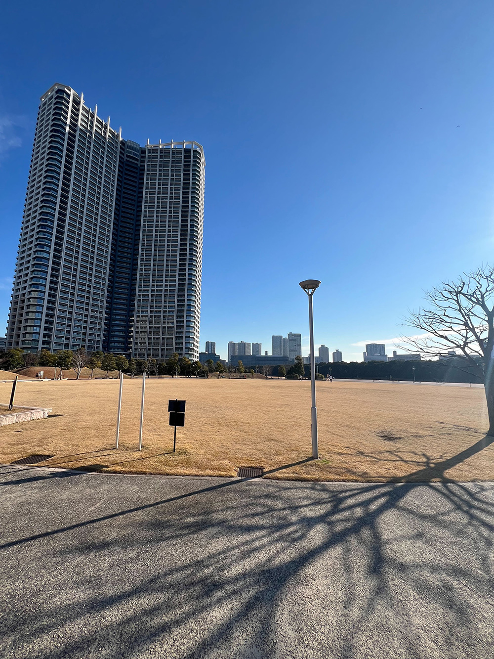 豊洲6丁目公園周辺